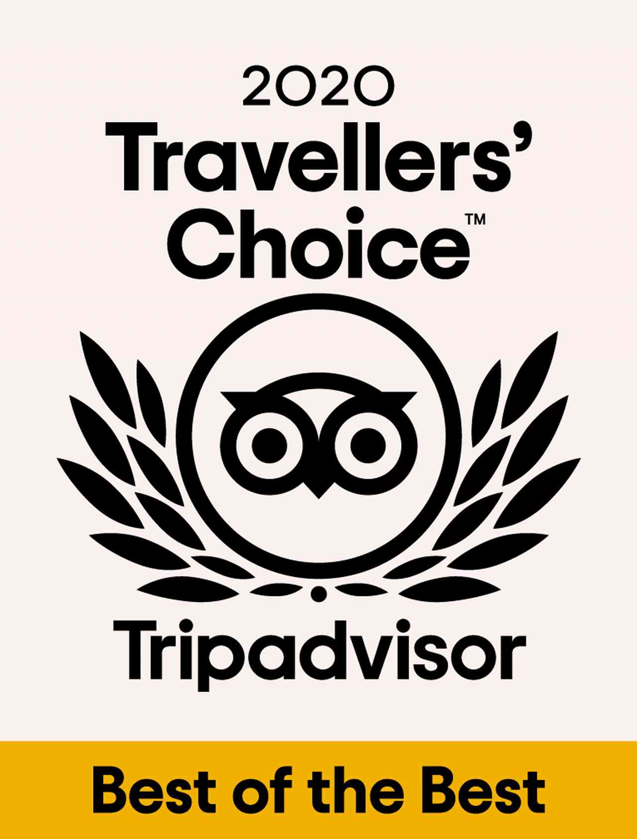 2020 trav choiche