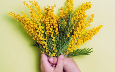 Qual’è il senso della festa della Donna?